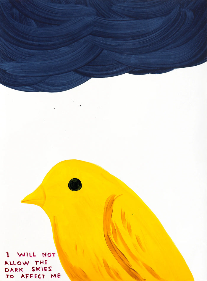 David Shrigley, I Will Not Allow The Dark Skies To Affect Me, 2025