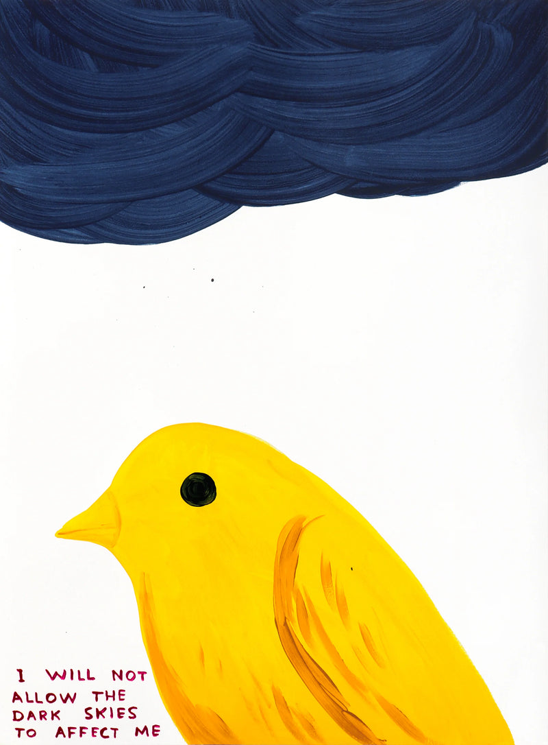 David Shrigley, I Will Not Allow The Dark Skies To Affect Me, 2025