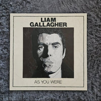 Francis Thorrington, Liam Gallagher, As You Were contemporary art for sale from Smolensky Gallery