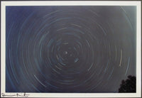 Damien Hirst, Spin Photo, 2002