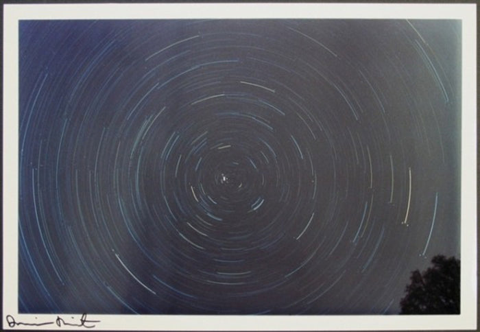 Damien Hirst, Spin Photo, 2002
