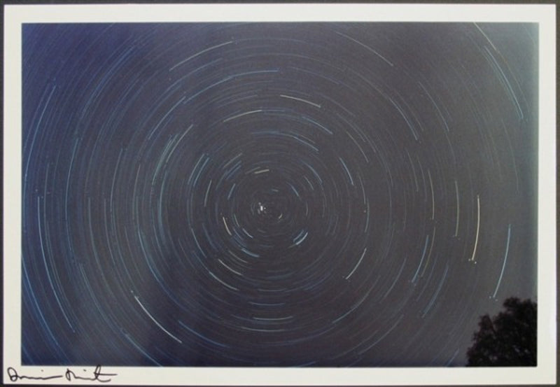 Damien Hirst, Spin Photo, 2002