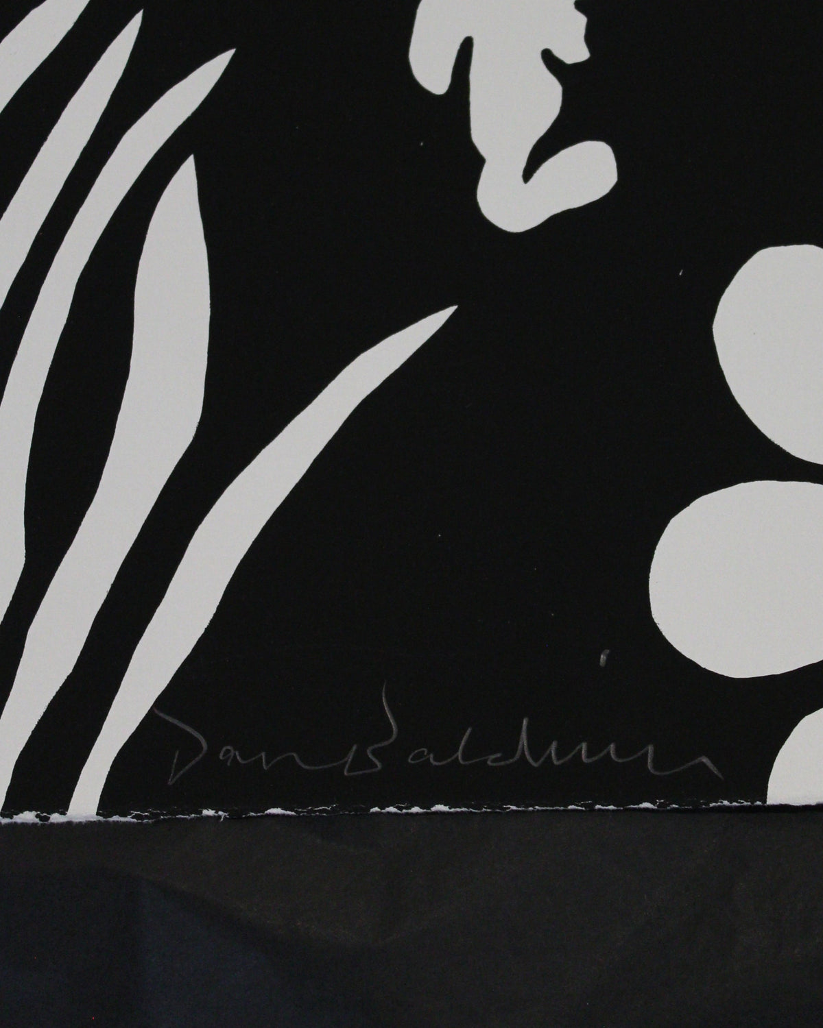 Dan Baldwin, Imaginary Paradise AP, 2019, limited print for sale from Smolensky Gallery