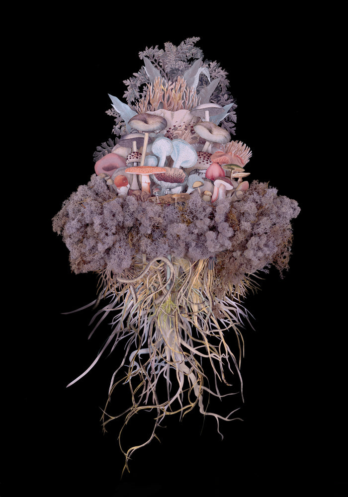 Jana Nicole, Botanical Scapes Series Lucent, 2024,prints for sale pints for sale from smolensky gallery