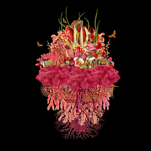 Jana Nicole, Botanical Troupe: Incandescent, 2023 prints for sale from Smolensky gallery