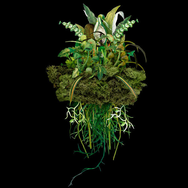 Jana Nicole, Botanical Troupe: Meadow, 2023 prints for sale from Smolensky gallery