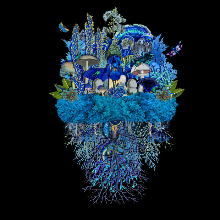 Jana Nicole, Botanical Troupe: Moonlit, 2023 prints for sale from Smolensky gallery
