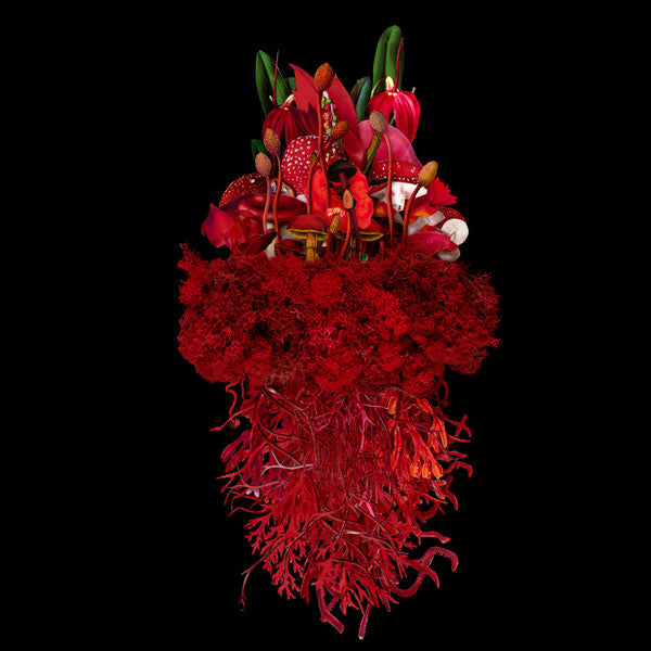 Jana Nicole, Botanical Troupe: Radiant, 2023 prints for sale from Smolensky gallery
