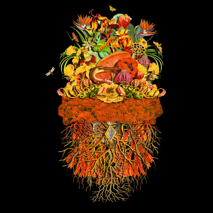 Jana Nicole, Botanical Troupe: Sunbeam prints for sale - Smolensky Gallery