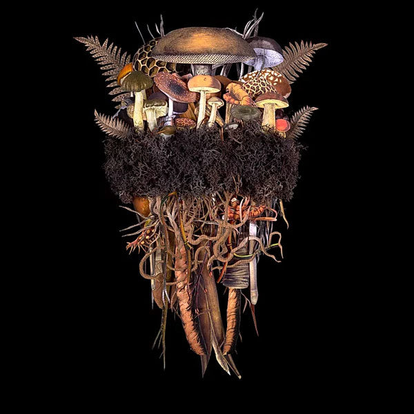 Jana Nicole, Botanicals: Earth Troupe, 2023 prints for sale from Smolensky gallery