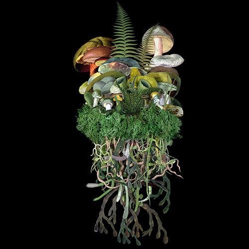 Jana Nicole, Botanicals: Spring Troupe, 2023 prints for sale from Smolensky gallery