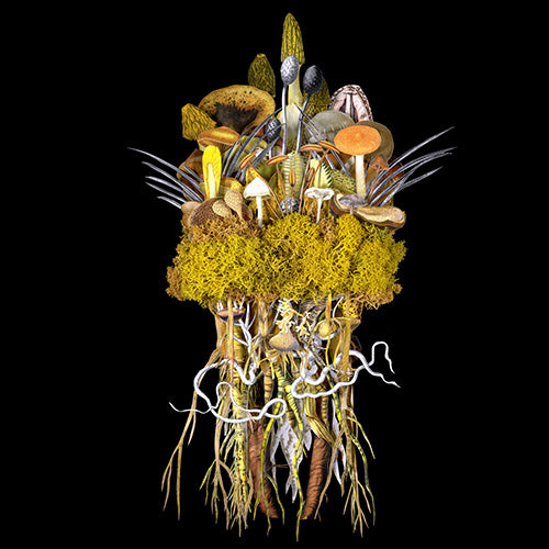 Jana Nicole, Botanicals: Sunrise Troupe, 2023 prints for sale from Smolensky gallery