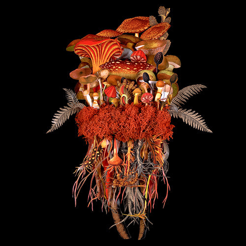 Jana Nicole, Botanicals: Sunset Troupe, 2023 prints for sale from Smolensky gallery
