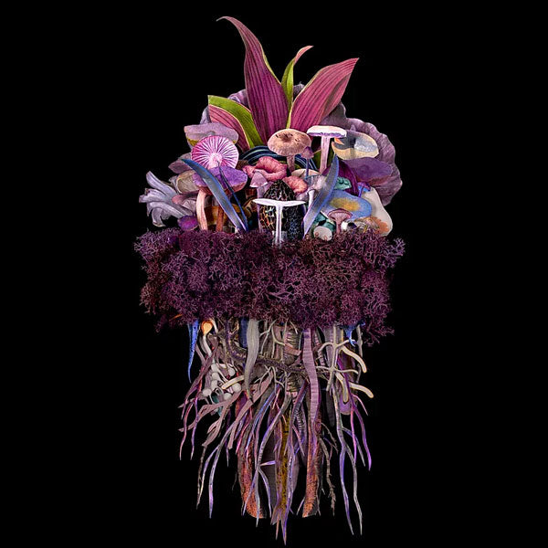 Jana Nicole, Botanicals: Twilight Troupe, 2023 prints for sale from Smolensky gallery