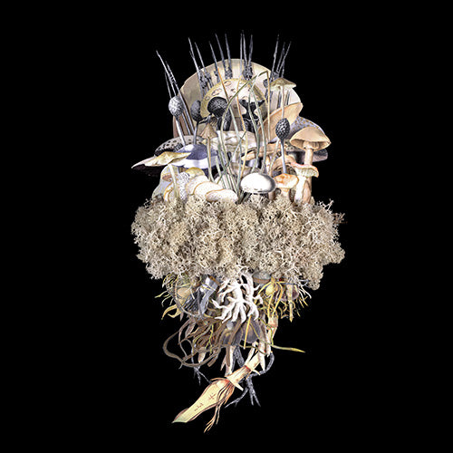 Jana Nicole, Botanicals: Winter Troupe, 2023 prints for sale from Smolensky gallery