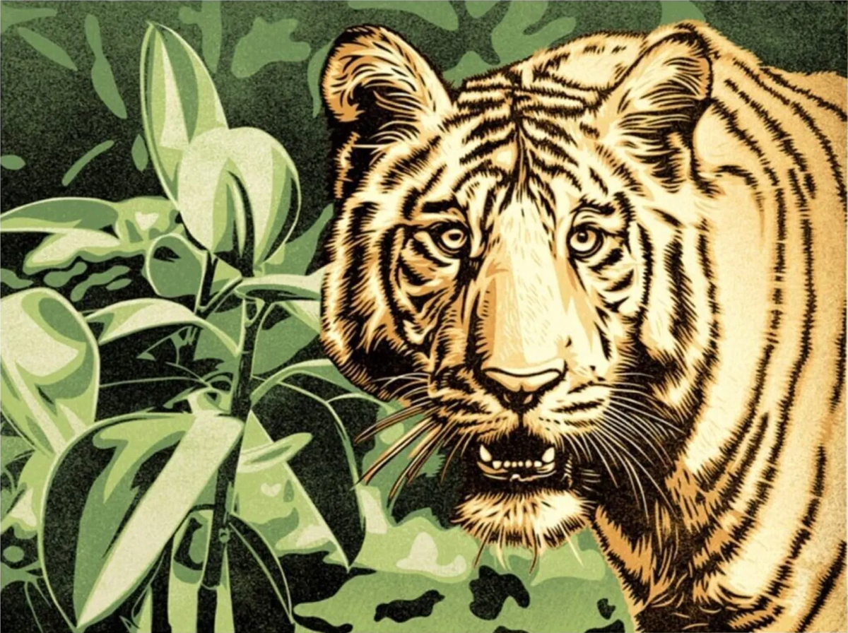 Shepard Fairey, Grace and power under pressure