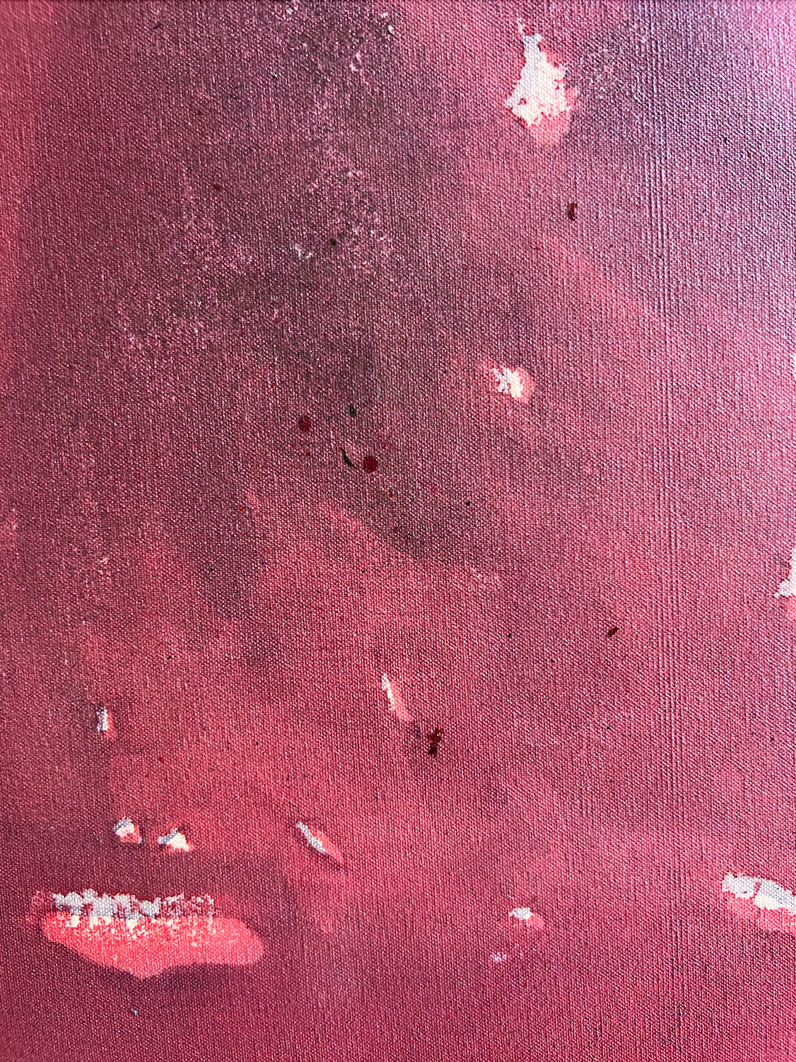 Aimee Parrott, Untitled, 2013