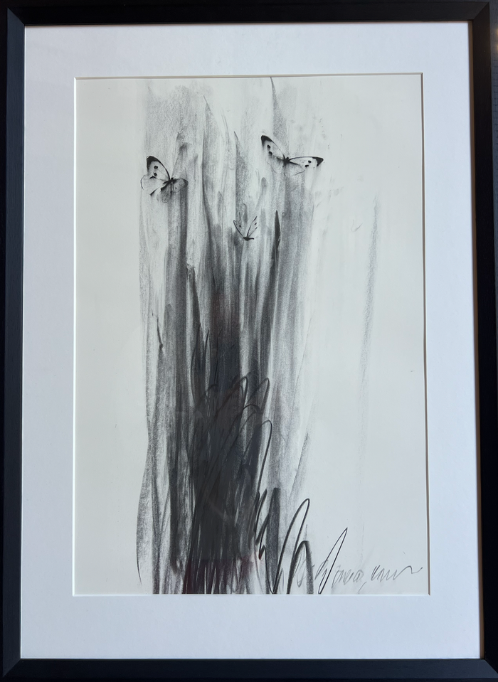 Jake Wood-Evans, Butterfly drawing, 2010