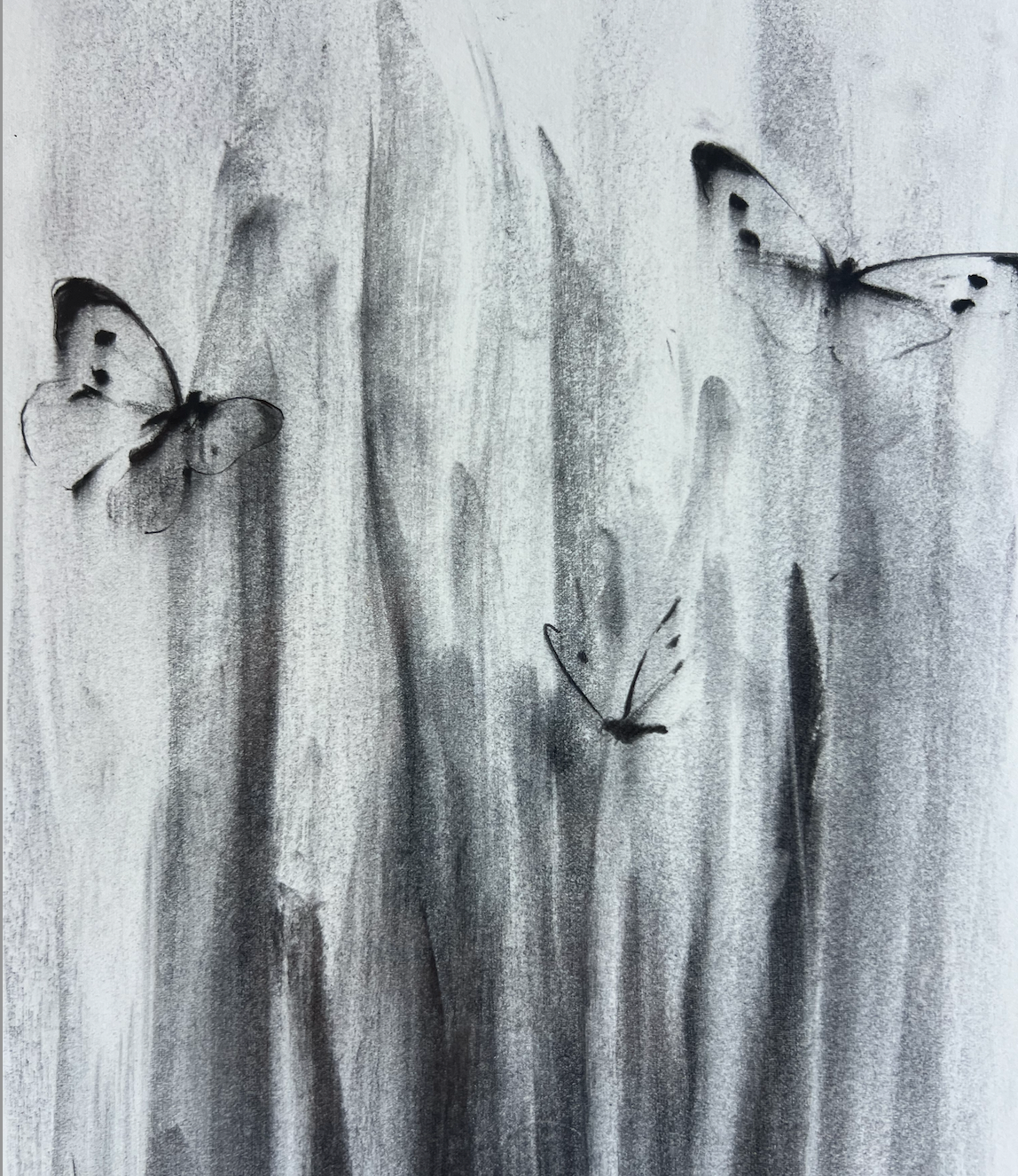 Jake Wood-Evans, Butterfly drawing, 2010