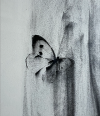Jake Wood-Evans, Butterfly drawing, 2010