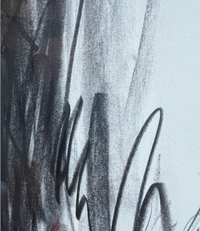 Jake Wood-Evans, Butterfly drawing, 2010