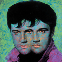 Ron English, Elvis Elvis #3 (2008)