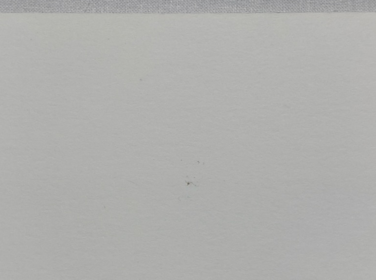 Josef Albers, Untitled, Formulation Articulation Ⅱ, 1972-Smolensky Gallery