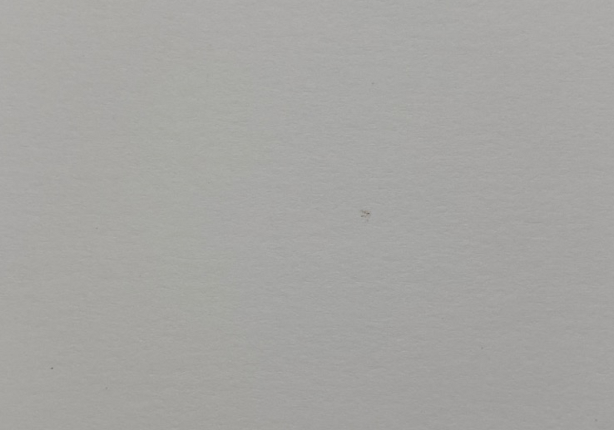 Josef Albers, Untitled, Formulation Articulation Ⅱ, 1972-Smolensky Gallery