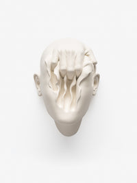 Johnson Tsang, Searching for spring, 2022