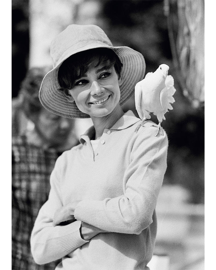 Terry O'Neill, Audrey Hepburn and a dove, 1966 Limited edition fine art photograph by Terry O'Neill, featuring iconic portrait photography of celebrities and cultural figures. Available for sale at Smolensky Gallery