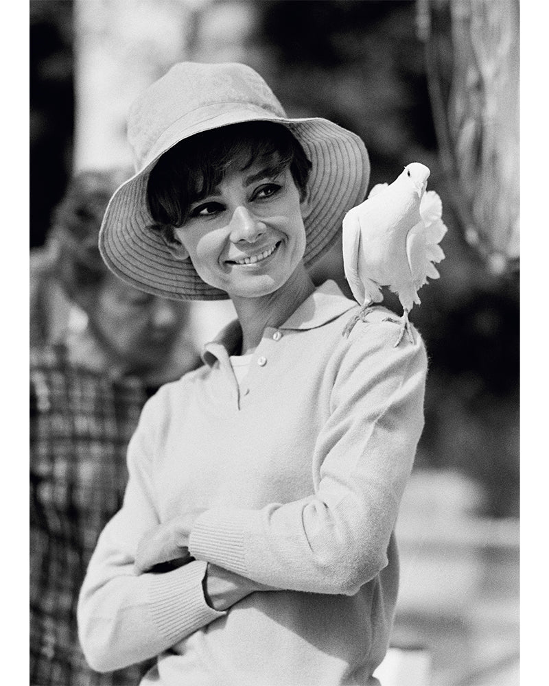 Terry O'Neill, Audrey Hepburn and a dove, 1966 Limited edition fine art photograph by Terry O'Neill, featuring iconic portrait photography of celebrities and cultural figures. Available for sale at Smolensky Gallery