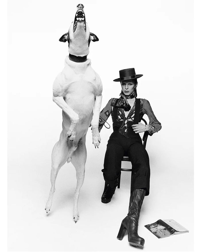 Terry O'Neill, David Bowie for Diamond Dogs, 1974 Limited edition fine art photograph by Terry O'Neill, featuring iconic portrait photography of celebrities and cultural figures. Available for sale at Smolensky Gallery