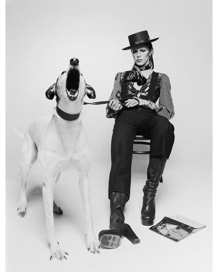 Terry O'Neill, David Bowie with barking dog, 1974 Limited edition fine art photograph by Terry O'Neill, featuring iconic portrait photography of celebrities and cultural figures. Available for sale at Smolensky Gallery