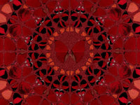Damien Hirst, Wu Zetian - H10-1, 2022, limited print for sale from Smolensky Gallery