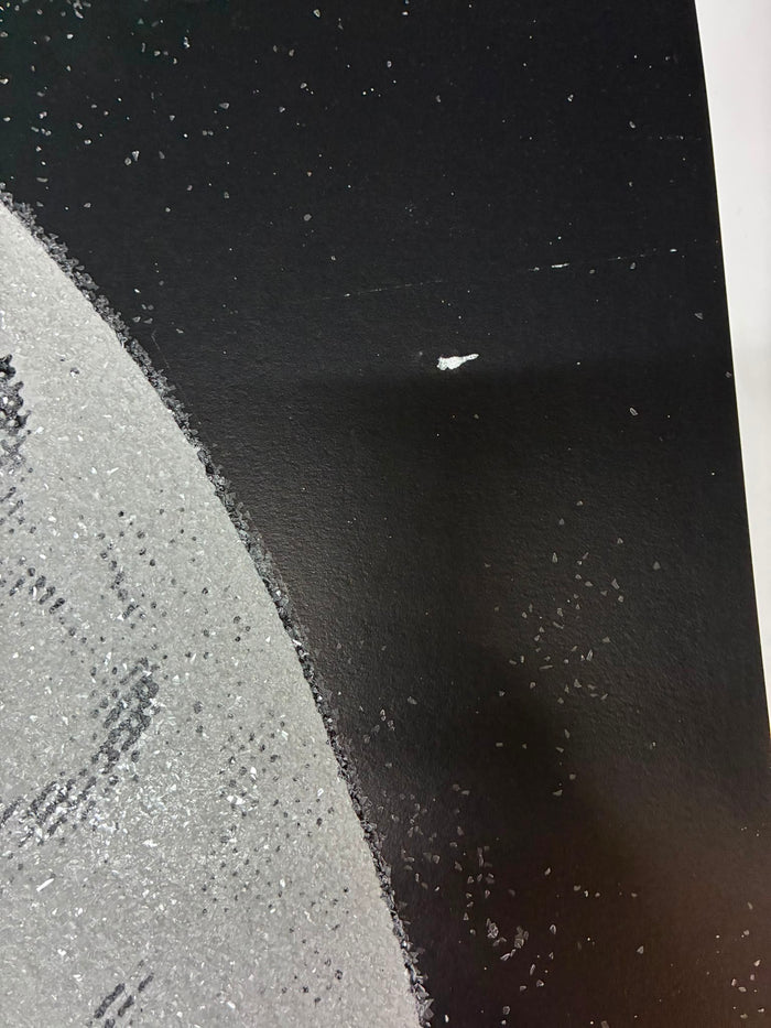 Liberty Queen (Diamond dust, white on black (white border), Artist Proofs (2011)