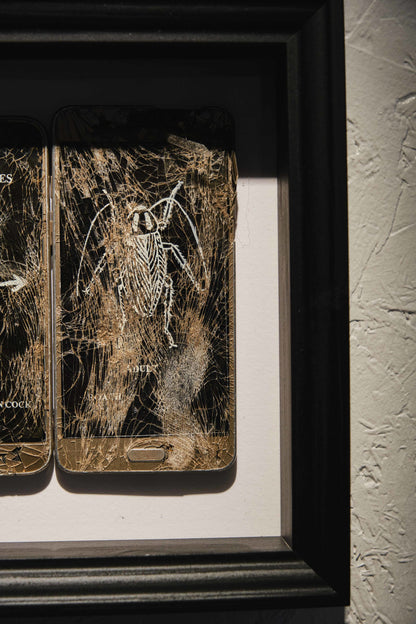 Morys Davies, Cockroach, 2023 - Smolensky Gallery