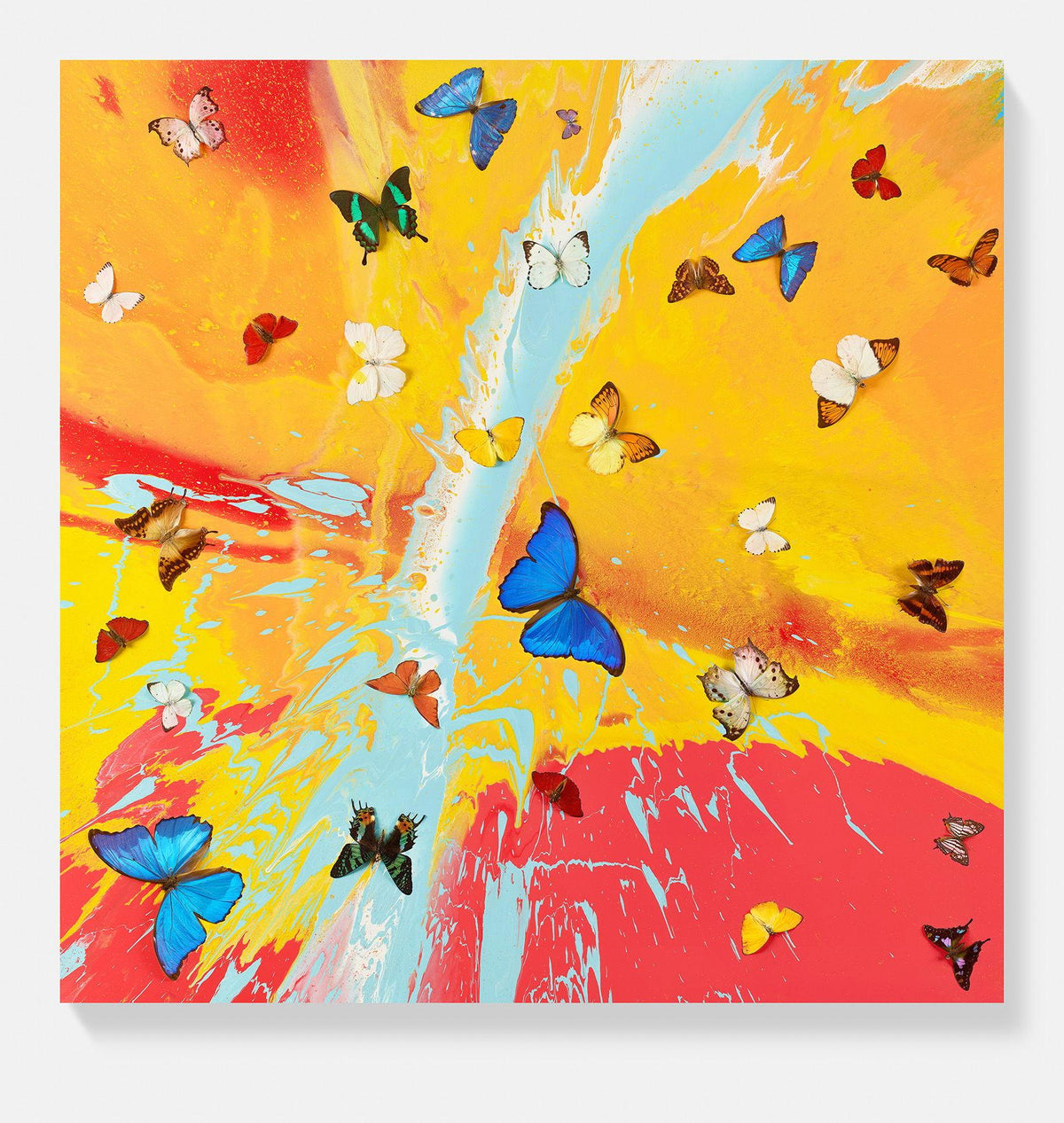 Damien Hirst, Aurora Dawn, 2025