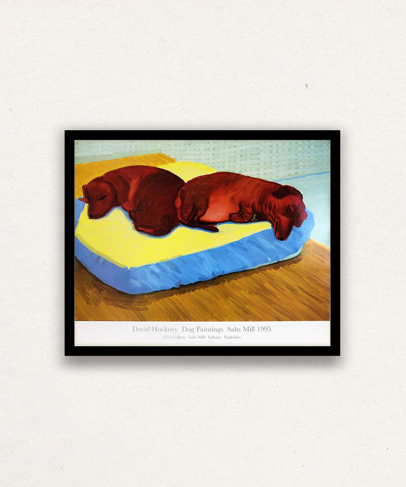 David Hockney, Dog 38, 1995
