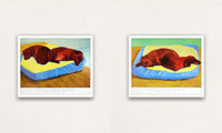 David Hockney, Dog 38 & Dog 43, 1995