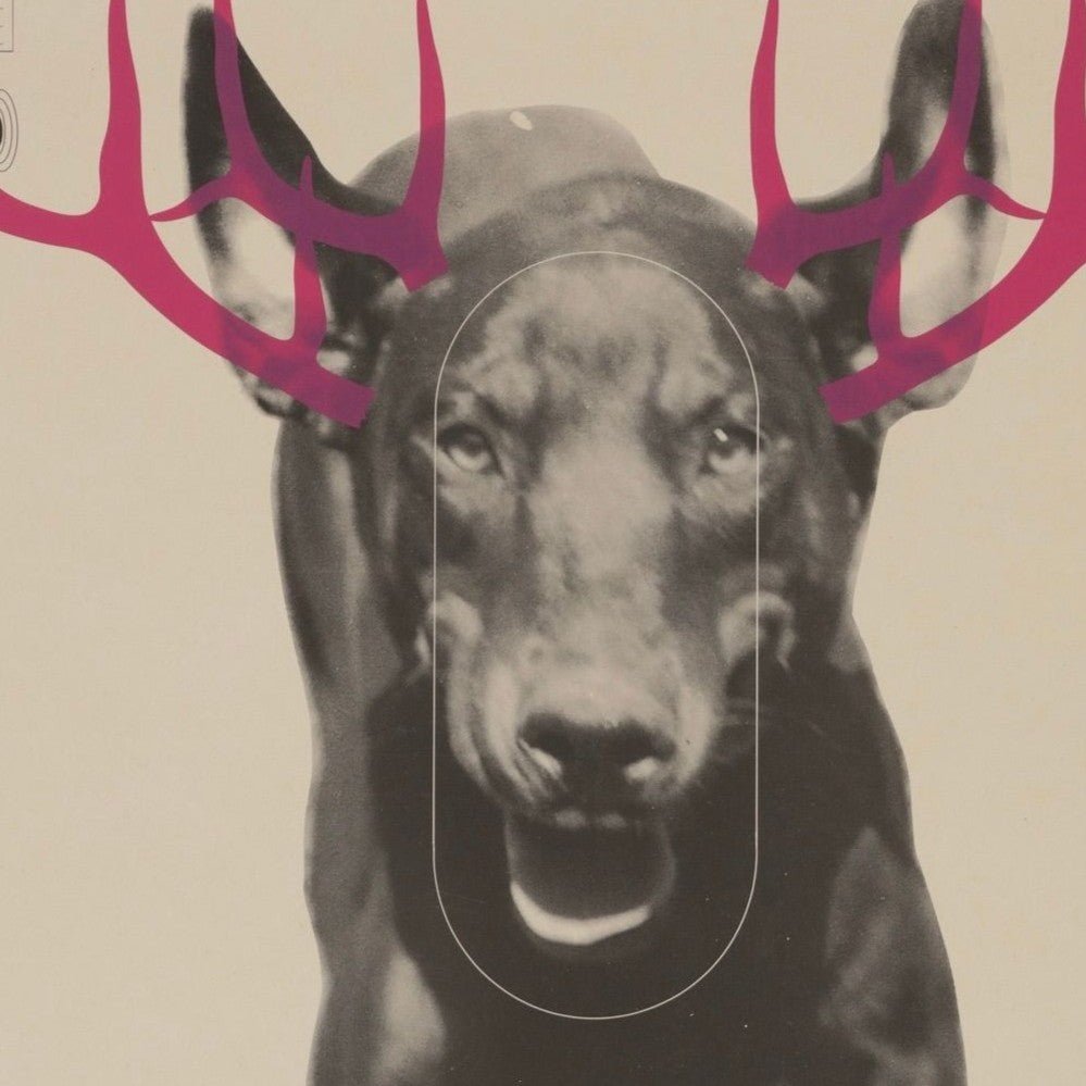 Paul Insect, Shooting Target Series (Dog), 2006