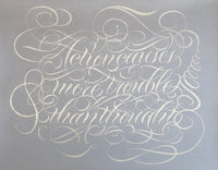 Jenny Holzer, More Trouble Than Thought, 2021