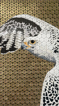 Jasper Leadbeater, Prey (Gyr Falcon), 2024