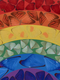 Damein Hirst Butterfly Rainbow (Large), 2020