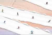 Werner Bronkhorst, Ski Lenticular Mini-Print, 2024