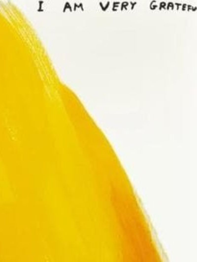 David Shrigley, Thank You For Burning (Framed), 2019