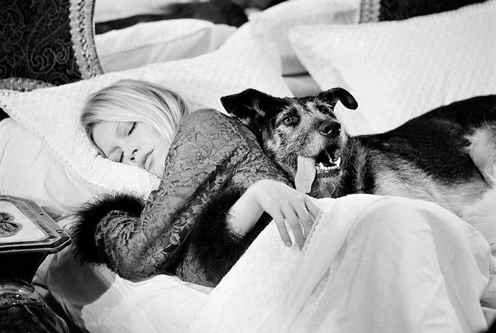 Terry O'Neill, Brigitte Bardot with a dog while filming The Novices, 1970