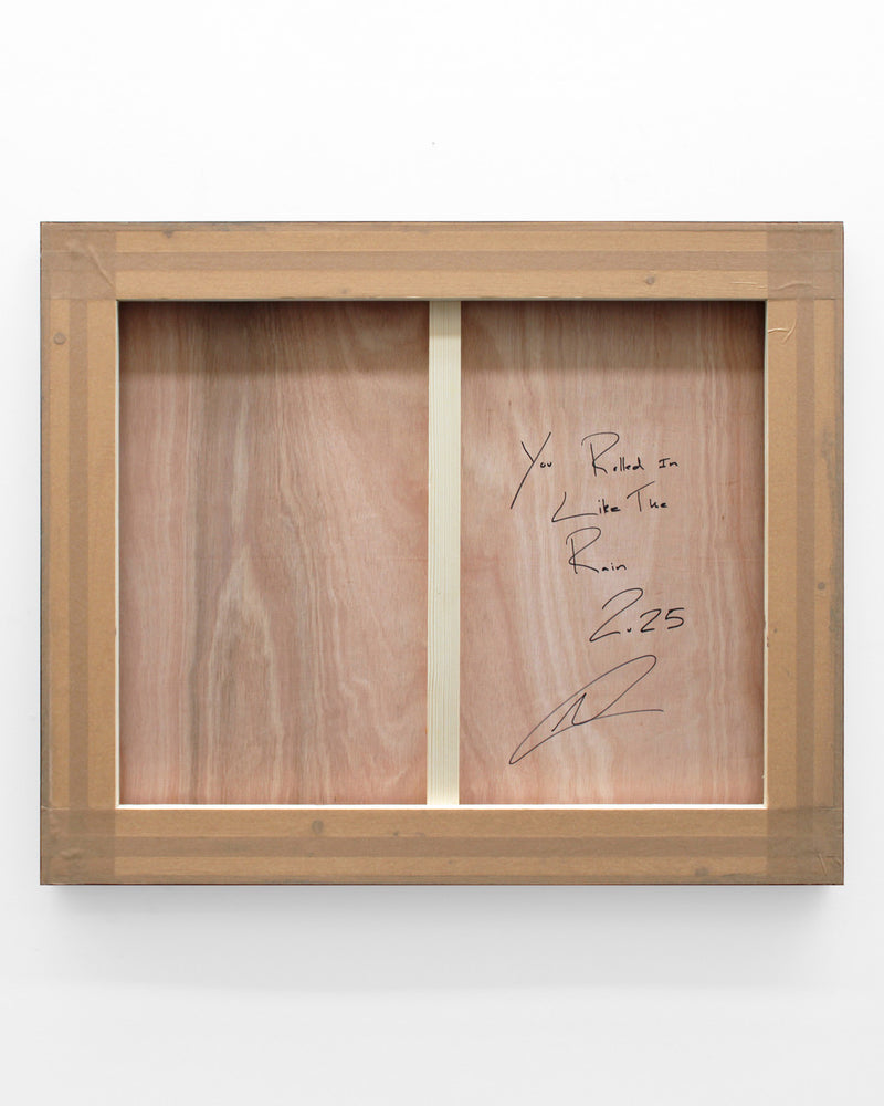 Henry Woolway, You Rolled In Like The Rain, 2025