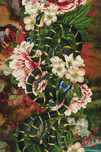 Divine Compassion - Smolensky Gallery