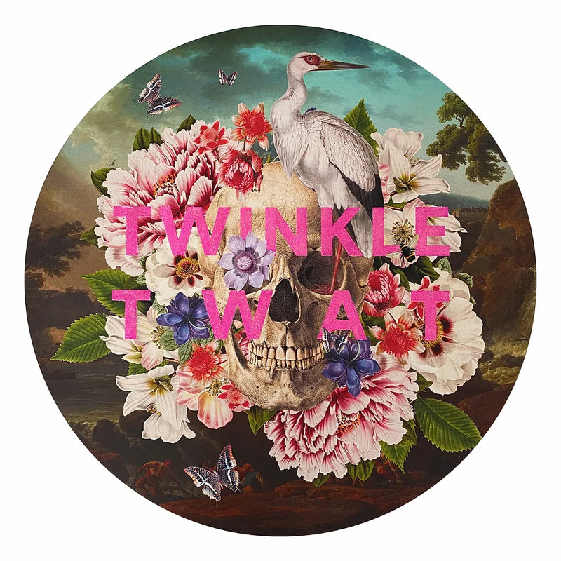 Alexandra Gallagher, Twinkle Twat, 2022 - Smolensky Gallery