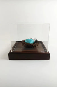 This Bird Has Flown - Smolensky Gallery